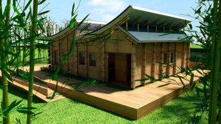 竹子有哪些应用价值呢