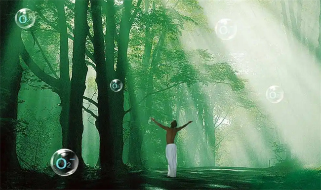 质谱正离子和负离子的区别