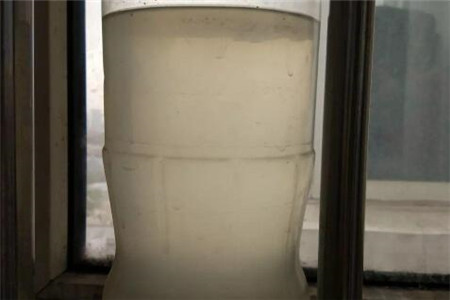 用淘米水浇绿萝绿萝叶子黄了