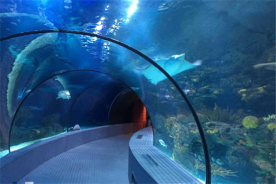 ​上海有什么好玩的上海哪些景点值得去玩(上海有哪些必去的景点)