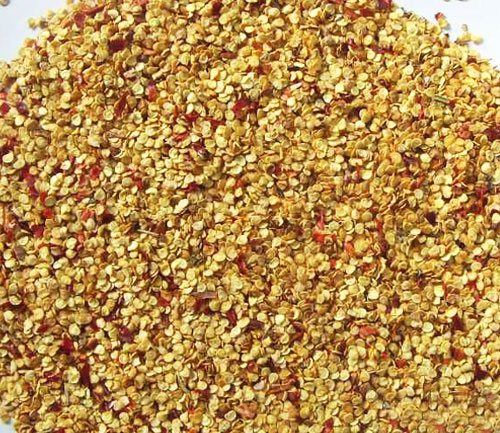 阳台种辣椒什么时候种