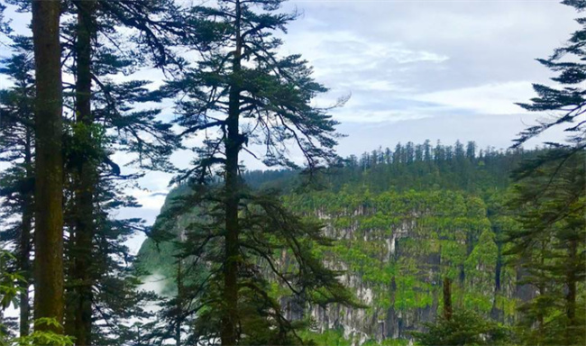 瘴气是什么意思