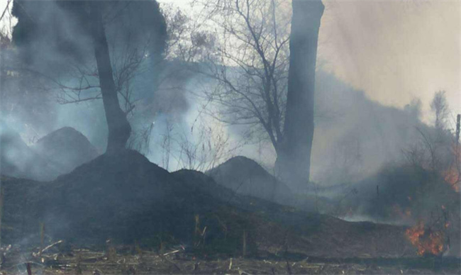 ​瘴气是什么瘴气是什么原因引起的(瘴气是什么意思)