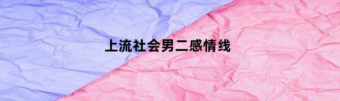 上流社会男二感情线(上流社会男主角)
