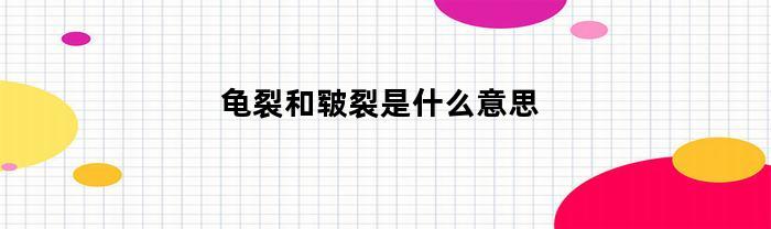龟裂和皲裂是什么意思(龟裂还是龟裂)