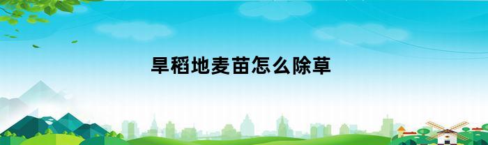 旱稻地麦苗怎么除草(旱稻地麦苗怎么除草的)