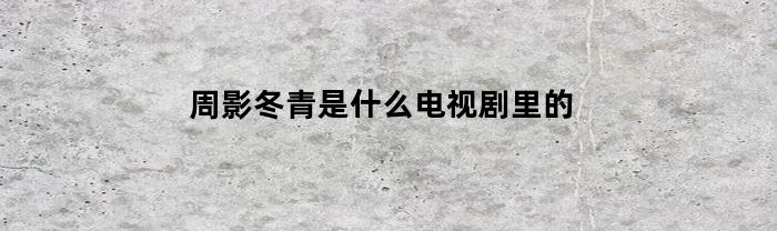 周影冬青是什么电视剧里的(周冬青老师)