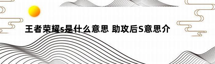 王者荣耀s是什么意思(王者荣耀是什么意思视频王小贱单挑)