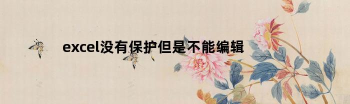 excel没有保护但是不能编辑(excel没有保护表格但无法替换)