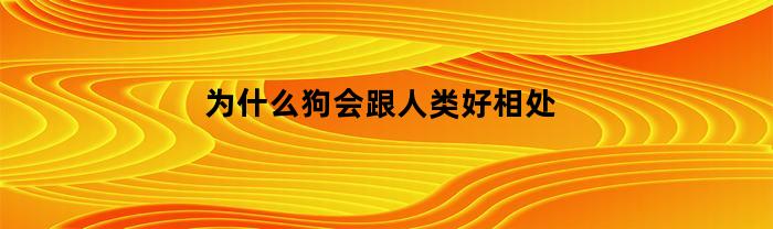 为什么狗会跟人类好相处(为什么狗会跟人类好相处的原因)
