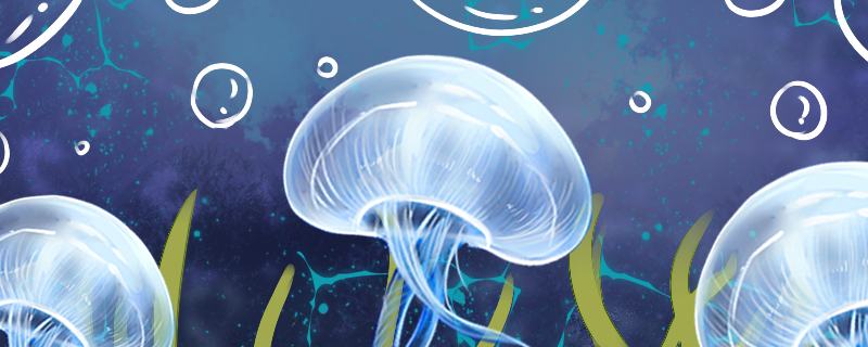 水母是鱼类吗为什么不是鱼类(水母是鱼吗 为什么)