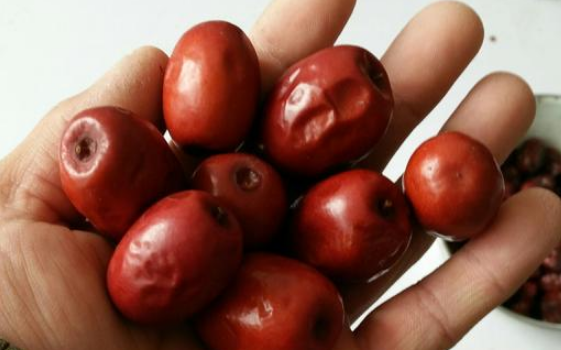 醉枣醉酸了还能吃吗醉枣怎么做不酸(醉枣发酸)