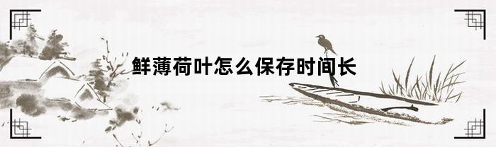 鲜薄荷叶怎么保存时间长(新鲜薄荷叶怎么保存成干燥品)