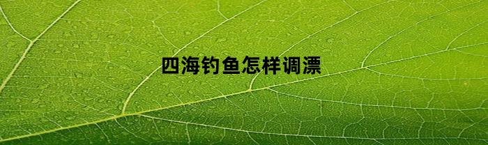 四海钓鱼怎样调漂(四海钓鱼怎样调漂视频)