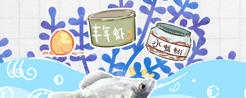 玛丽鱼喂什么饲料好不吃食怎么办(玛丽鱼吃啥)