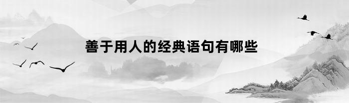 善于用人的经典语句有哪些(善于用人的经典语句有哪些呢)