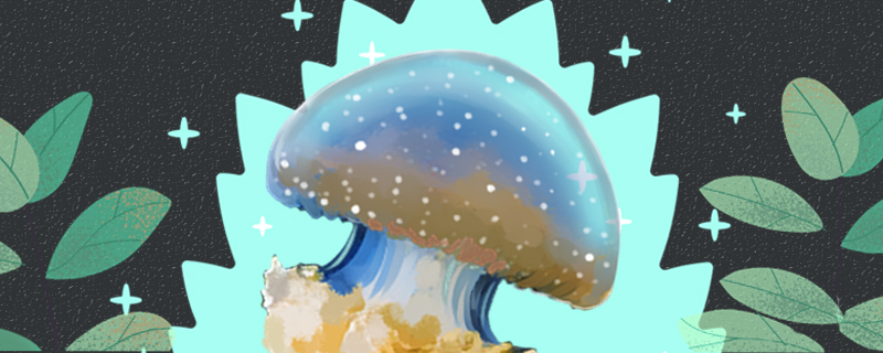 赤月水母有毒吗毒性大吗(赤月水母有毒吗可以用手碰吗)