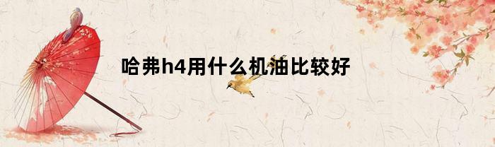 哈弗h4用什么机油比较好(2020年哈佛h4保养加什么机油好)