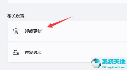 win11更新完一直闪(win11更新后一直闪)