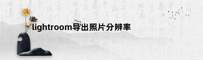 lightroom导出照片分辨率(lightroom导出图像大小)