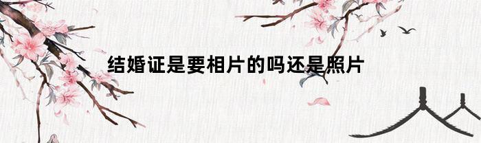 结婚证要拍照片吗