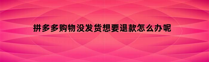 拼多多购物没发货想要退款怎么办呢(拼多多没发货申请退款不给退)
