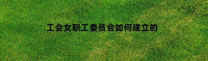 工会女职工委员会如何建立的(工会女职工委员会如何产生)