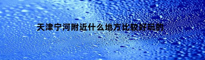 天津宁河附近什么地方比较好玩的(天津宁河周边的景区)