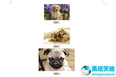 word图片全部替换(word图片怎么批量居中)