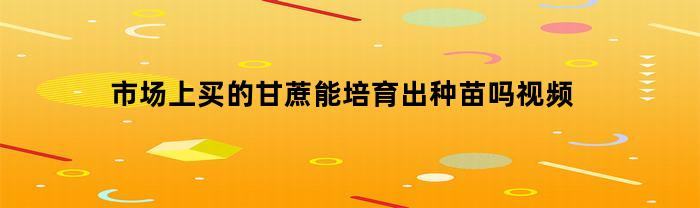 市场上买的甘蔗能培育出种苗吗视频(市场上买的甘蔗能培育出种苗吗视频教程)