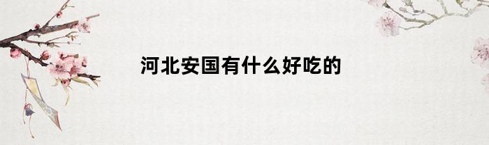 河北安国有什么好吃的(安国好吃的街边小吃)