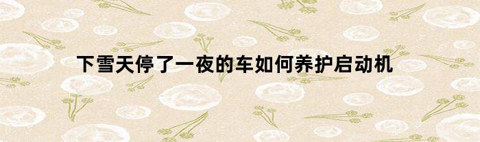 下雪天停了一夜的车如何养护启动机(下雪天汽车启动注意事项)
