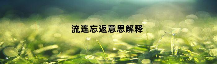 流连忘返意思解释(流连忘返意思解释是什么二年级)