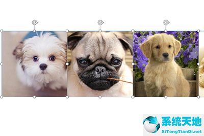 ppt如何制作图片滚动效果(ppt怎么让图片滚动)