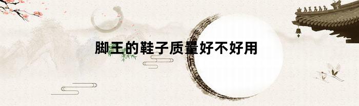 脚王的鞋子质量好不好用(脚王鞋店是什么公司)