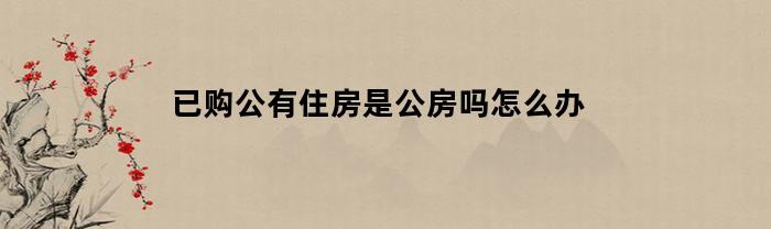 已购公有住房是公房吗怎么办(已购公有住房是公房吗怎么办理)