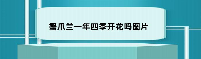 蟹爪兰一年四季开花吗图片(蟹爪兰一年四季怎么养)