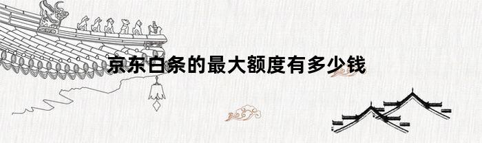 京东白条的最大额度有多少钱(京东白条的最高额度是多少)
