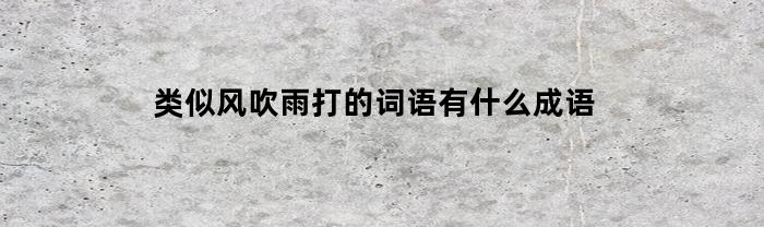 类似风吹雨打的词语有什么成语(类似风吹雨打的四字词语)