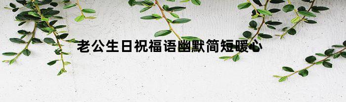 老公生日祝福语幽默简短暖心(老公生日祝福语幽默简短暖心句子)