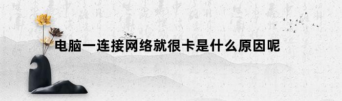 电脑一连接网络就很卡是什么原因呢(为什么电脑一连网就卡)