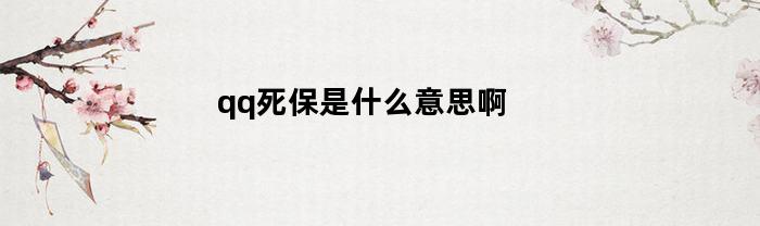 qq死保是什么意思啊(qq死尸是什么意思)