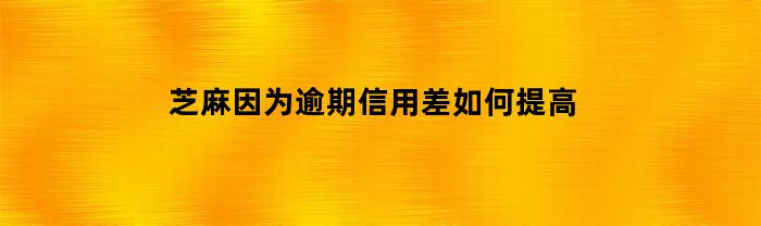 芝麻因为逾期信用差如何提高(借呗80000逾期2年亲身经历)