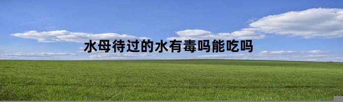 水母待过的水有毒吗能吃吗(水母会有毒吗)