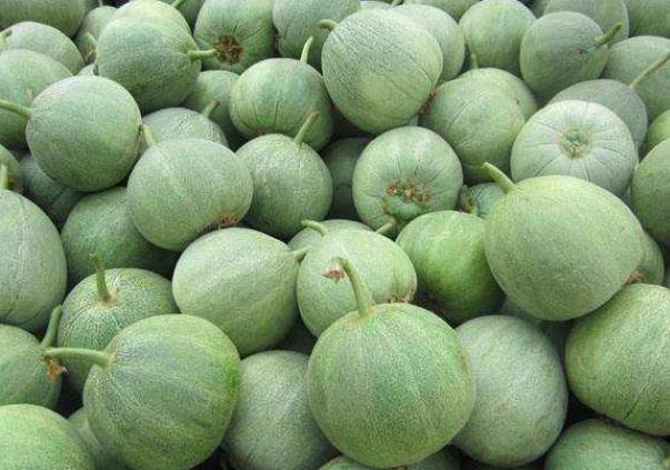 香瓜籽能不能吃