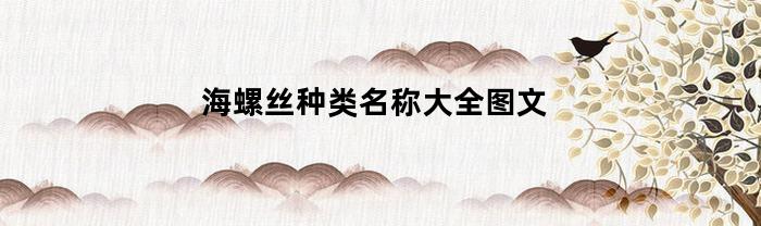 海螺丝学名叫什么