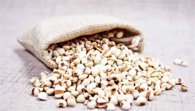 薏仁是什么薏仁是什么植物的种子(薏仁是种子吗)