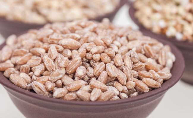 ​美容瘦身的食物有哪些美容瘦身做什么运动合适(运动技能有哪些)