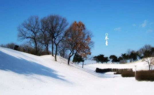 冬至是腊月几日