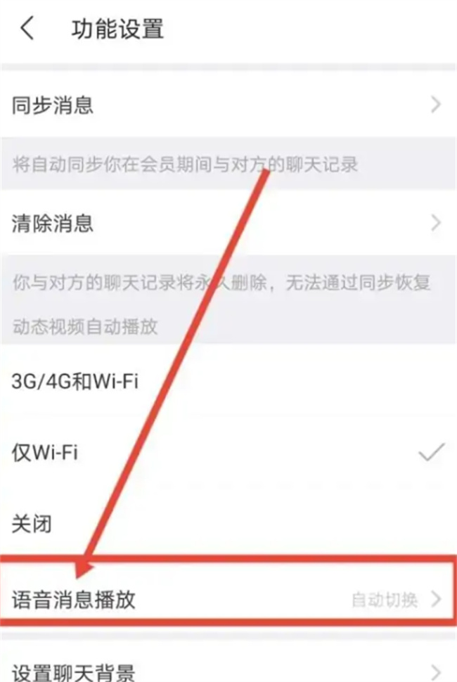 陌陌极速版怎么没有声音